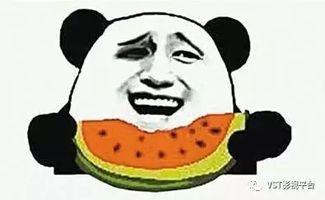 新疆的吃瓜群众是什么人,见证多元文化的独特魅力