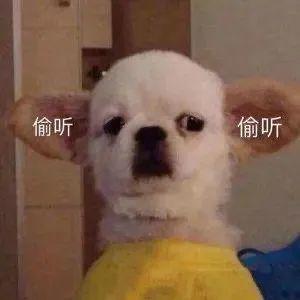 吃瓜群众沙雕版视频下载,揭秘热门视频下载幕后故事