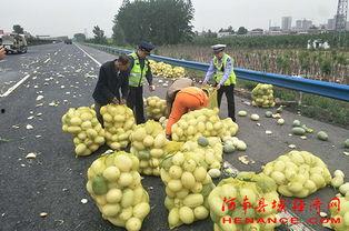 泉州海伦斯吃瓜群众,吃瓜群众的狂欢盛宴
