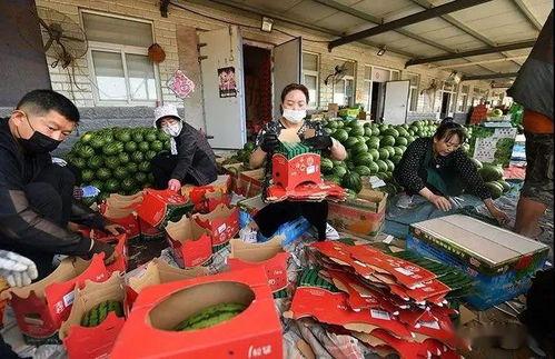 群众的吃瓜现场图片高清,群众围观吃瓜盛况，高清图片记录欢乐瞬间