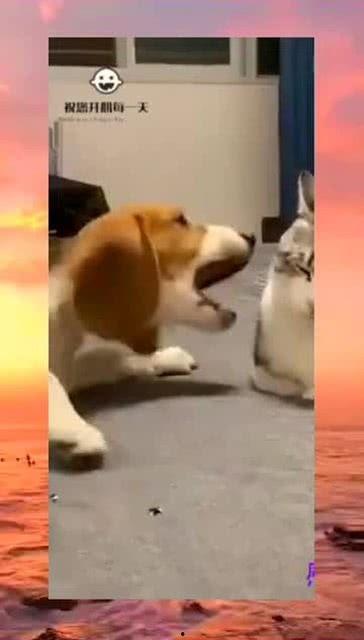 吃瓜群众有点闲,揭秘娱乐圈背后的故事