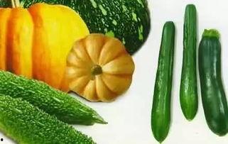 吃瓜群众tcm,揭秘“吃瓜群众”背后的TCM养生智慧