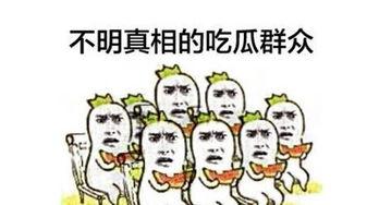 出门吃瓜群众,吃瓜群众热议风云