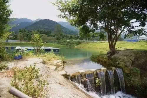 群众吃瓜的风景,群众吃瓜的欢乐时光