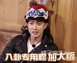 吃瓜群众是明星吗,吃瓜群众与明星的神秘关系