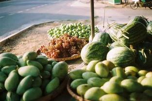 地球首席吃瓜群众是谁,揭秘神秘身份背后的故事