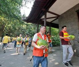 吃瓜群众看人间百态,吃瓜群众视角下的众生相