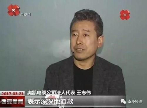 吃瓜群众下跪道歉视频,一场网络舆论的反思与启示