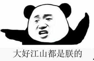 中国群众的吃瓜群有哪些,吃瓜群文化概览