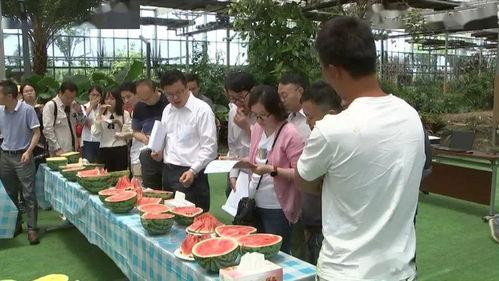 浙江艺考吃瓜群众,吃瓜群众热议背后的真相