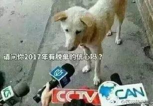 吃瓜群众卧槽图片大全,图片大全里的爆笑瞬间