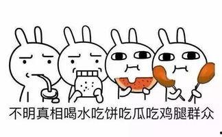 吃瓜群众不要八卦,拥抱宁静生活