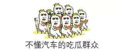 吃瓜群众太好奇,揭秘吃瓜群众背后的好奇心之谜