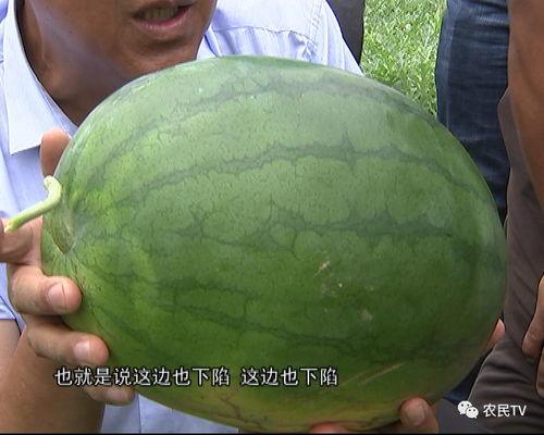吃瓜群众手中的西瓜